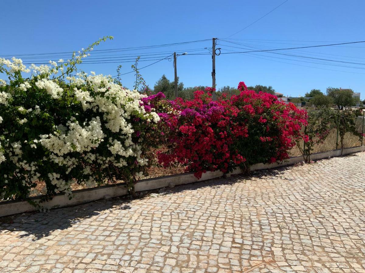 Guest House Alfarrobeiras Albufeira Exteriör bild
